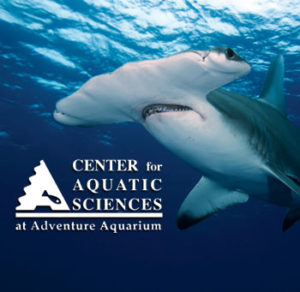 Center for Aquatic Sciences at Adventure Aquarium