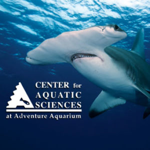 Center for Aquatic Sciences at Adventure Aquarium