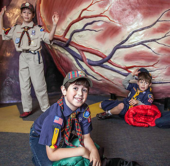 postImage_2019-Franklin-Institute Franklin Institute Camp-In
