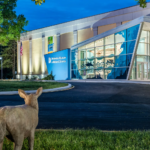 Sleepover at the Delaware Museum of Nature and Science