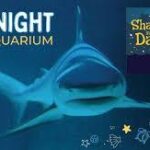 Adventure Aquarium - Overnight