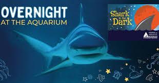 aquarium
